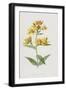 Black Frame