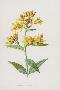 Laminate