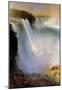 Frederick Edwin Church Niagara Falls from the American Side Art Print Poster-null-Mounted Poster
