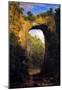 Frederick Edwin Church The Natural Bridge Virginia Art Print Poster-null-Mounted Poster