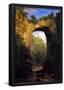 Frederick Edwin Church The Natural Bridge Virginia Art Print Poster-null-Framed Poster