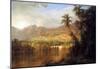 Frederick Edwin Church Tropical Scene Art Print Poster-null-Mounted Poster