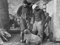 Albert Borlase Armitage, Scottish Polar Explorer, C1894-C1897-Frederick George Jackson-Framed Giclee Print