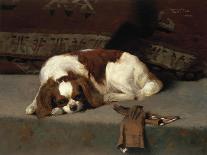 King Charles Spaniel Resting-Frederick Hall-Framed Giclee Print