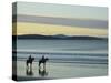 Frederick Henry Bay, Seven Mile Beach, Seven Mile Beach Protected Area, Tasmania, Australia-Jochen Schlenker-Stretched Canvas