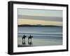 Frederick Henry Bay, Seven Mile Beach, Seven Mile Beach Protected Area, Tasmania, Australia-Jochen Schlenker-Framed Photographic Print