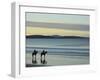 Frederick Henry Bay, Seven Mile Beach, Seven Mile Beach Protected Area, Tasmania, Australia-Jochen Schlenker-Framed Photographic Print