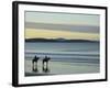 Frederick Henry Bay, Seven Mile Beach, Seven Mile Beach Protected Area, Tasmania, Australia-Jochen Schlenker-Framed Photographic Print