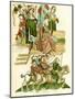 Frederick I Receives Brandenburg, C. 1440-null-Mounted Giclee Print