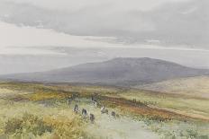 Wallabrook, Clapper Bridge, Dartmoor , C.1895-96-Frederick John Widgery-Giclee Print