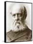 Frederick Law Olmstead Portrait-null-Framed Stretched Canvas