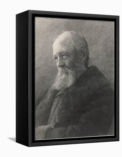 Frederick Law Olmsted-T Johnson-Framed Stretched Canvas