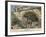 Frederick the Great of Prussia Hiding from the Enemy-Carl Rochling-Framed Giclee Print