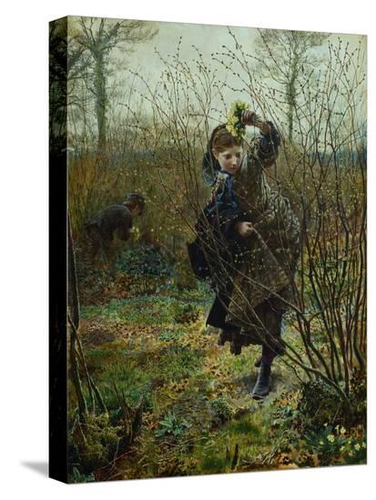 Stretched Canvas Print, , large