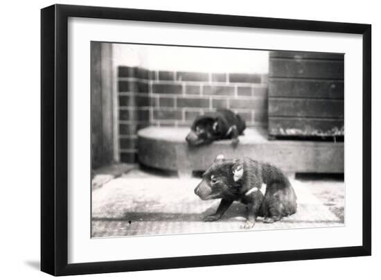 Photographic Print, , large
