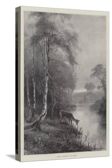 Stretched Canvas Print, , large