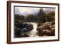 Brown Frame