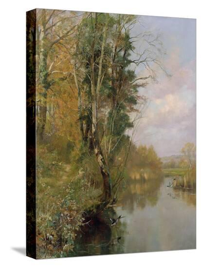 Stretched Canvas Print, , large