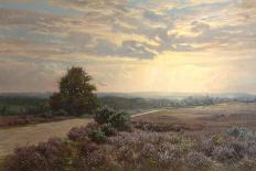 New Forest-Frederik Golden Short-Stretched Canvas