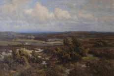 New Forest-Frederik Golden Short-Stretched Canvas