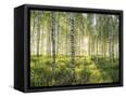 Canvas Black