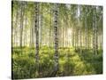 Stretched Canvas