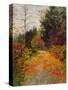 Stretched Canvas