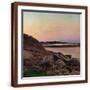 Brown Frame