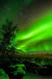 Sweden, Norrbotten, Abisko. Winter night with star circles and a hint of Northern Light.-Fredrik Norrsell-Photographic Print