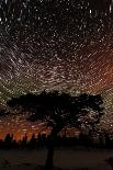 Sweden, Norrbotten, Abisko. Winter night with star circles and a hint of Northern Light.-Fredrik Norrsell-Photographic Print