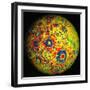 Free-air Lunar Gravity Globe-Stocktrek Images-Framed Photographic Print