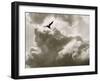 Free as a Bird-Toula Mavridou-Messer-Framed Photographic Print