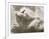 Free as a Bird-Toula Mavridou-Messer-Framed Photographic Print