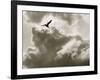 Free as a Bird-Toula Mavridou-Messer-Framed Photographic Print