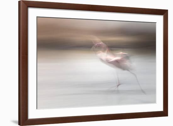 Free as a bird-Valda Bailey-Framed Photographic Print