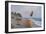 Free Bird-Bruce Dumas-Framed Giclee Print