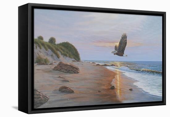 Free Bird-Bruce Dumas-Framed Stretched Canvas