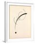 Free Curve to the Point - Accompanying Sound of Geometric Curves, 1925 (Ink on Paper)-Wassily Kandinsky-Framed Giclee Print