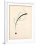 Free Curve to the Point - Accompanying Sound of Geometric Curves, 1925 (Ink on Paper)-Wassily Kandinsky-Framed Giclee Print