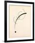 Free Curve to the Point - Accompanying Sound of Geometric Curves, 1925 (Ink on Paper)-Wassily Kandinsky-Framed Giclee Print