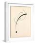 Free Curve to the Point - Accompanying Sound of Geometric Curves, 1925 (Ink on Paper)-Wassily Kandinsky-Framed Premium Giclee Print