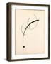 Free Curve to the Point - Accompanying Sound of Geometric Curves, 1925 (Ink on Paper)-Wassily Kandinsky-Framed Giclee Print