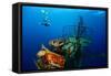 Free Diver Exploring the Ship Wreck in Tropical Clear Sea-Dudarev Mikhail-Framed Stretched Canvas