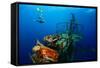 Free Diver Exploring the Ship Wreck in Tropical Clear Sea-Dudarev Mikhail-Framed Stretched Canvas