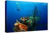 Free Diver Exploring the Ship Wreck in Tropical Clear Sea-Dudarev Mikhail-Stretched Canvas