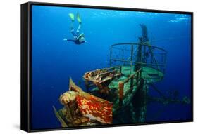 Free Diver Exploring the Ship Wreck in Tropical Clear Sea-Dudarev Mikhail-Framed Stretched Canvas