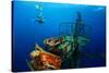 Free Diver Exploring the Ship Wreck in Tropical Clear Sea-Dudarev Mikhail-Stretched Canvas