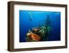 Free Diver Exploring the Ship Wreck in Tropical Clear Sea-Dudarev Mikhail-Framed Photographic Print