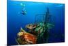 Free Diver Exploring the Ship Wreck in Tropical Clear Sea-Dudarev Mikhail-Mounted Photographic Print