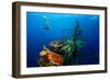 Free Diver Exploring the Ship Wreck in Tropical Clear Sea-Dudarev Mikhail-Framed Photographic Print